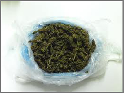 Προφυλακίστηκαν οι συλληφθέντες στη Ζάκυνθο